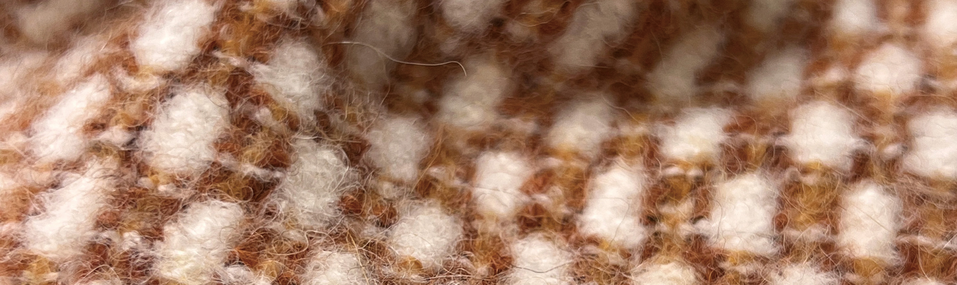 Alpaca Collection